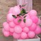 Pink Balloons - 12 inch 100pcs Latex - Round Matte Pink Birthday Balloons with 2 Ribbons for Baby Shower, Gender Reveal Parties